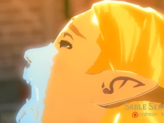 3D Hentai Legend of Zelda Breath of the Wild and Link