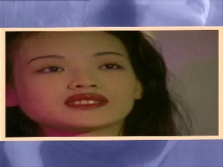 Taiwanese actress Shu Qi 舒淇 stared in softcore chinese porn